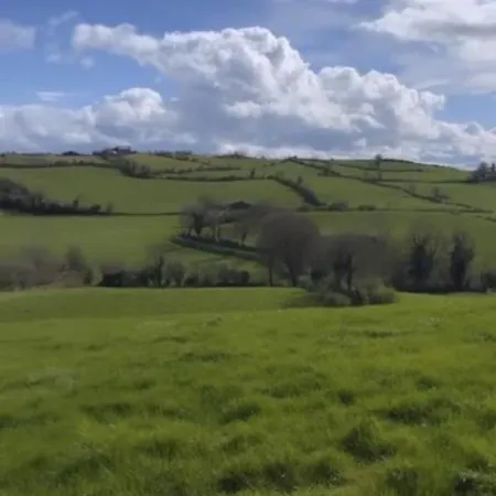 Σπίτι διακοπών Pringle Clones